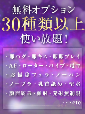 無料オプション(30種類以上)使い放題について