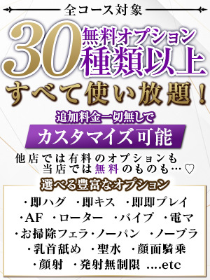 無料オプション(30種類以上)使い放題について